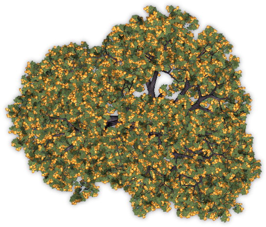 24 Mar 2009 - Tree (566x493), Png Download