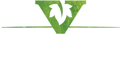 Vine Church - New Bern North Carolina (500x281), Png Download