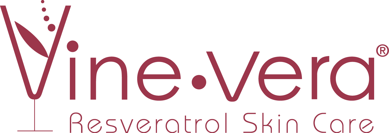 2016 Vine Vera - Vine Vera Logo (1492x513), Png Download