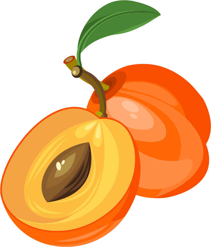 Peach Clipart Apricot - Apricot Clipart (678x794), Png Download