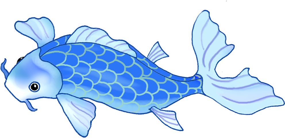 Very Blue Koi Fish - Koi (1063x611), Png Download
