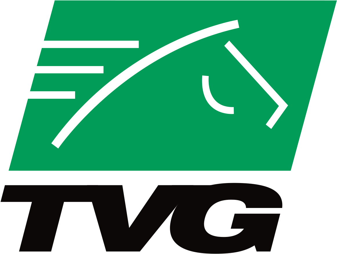 Tvg Network (1200x923), Png Download