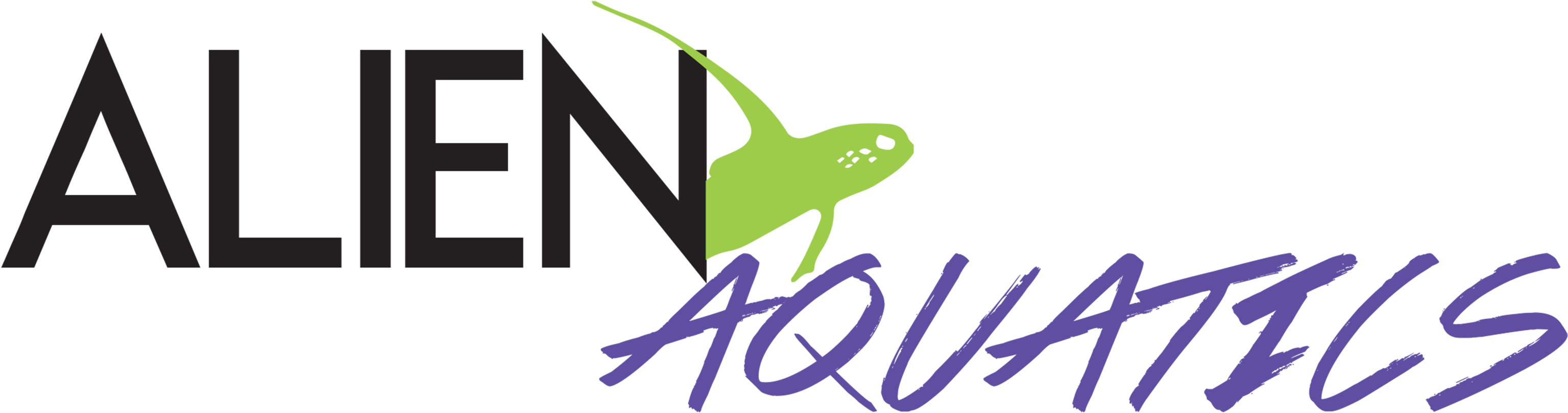 Tumblr Summer Banners Tropical Banners Mtm Png Tumblr (3125x909), Png Download