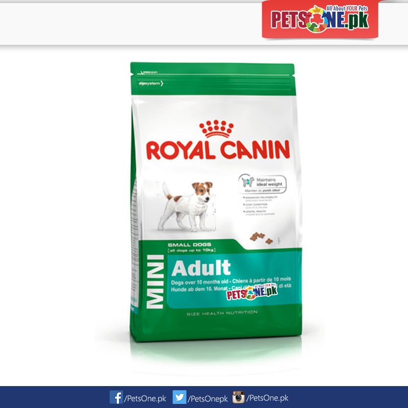 Royal Canin Mini Adult In Pakistan (800x800), Png Download