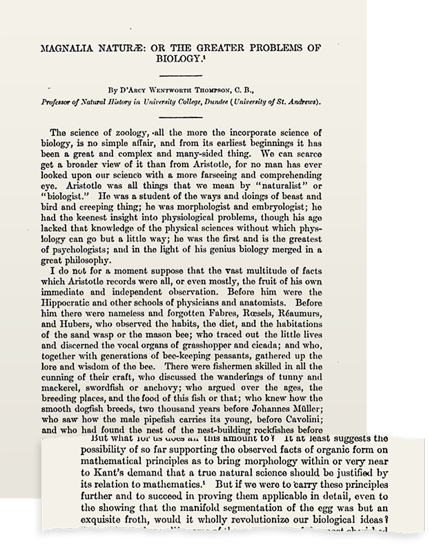 Magnalia Naturae - Magnalia Christi Americana (620x787), Png Download