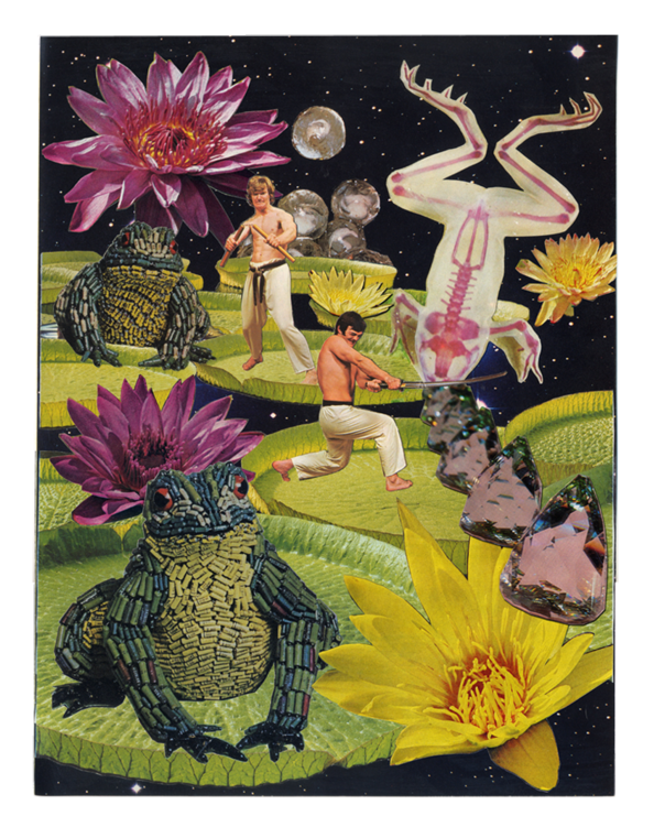 Frogger - Collage (1000x750), Png Download