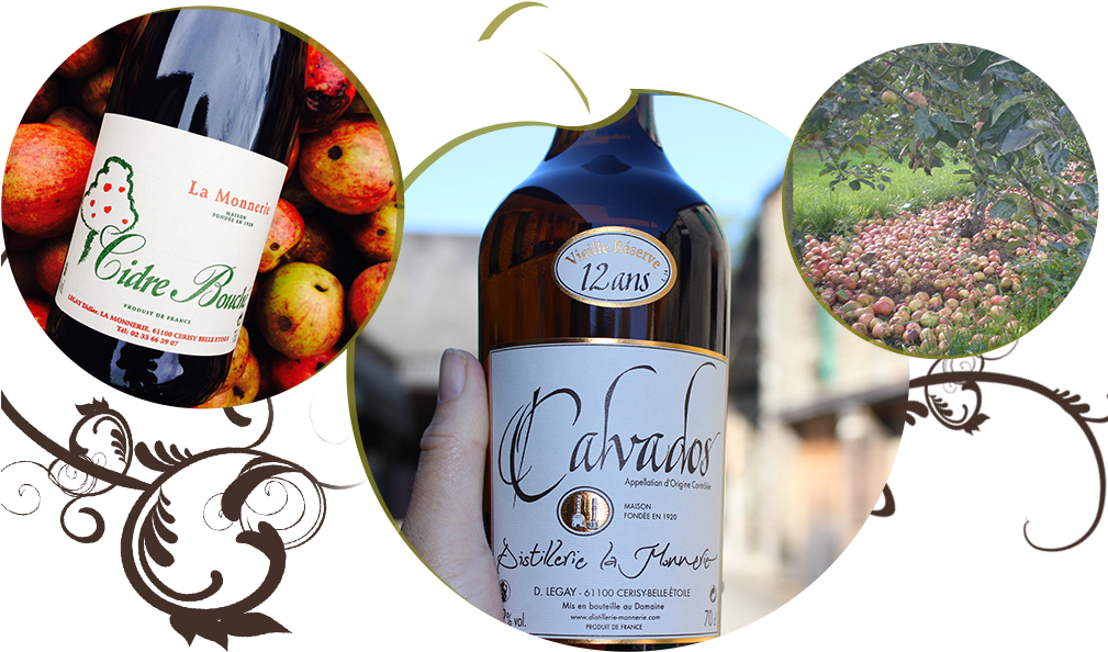 Checkout Basket - Domaine De Canton (1008x601), Png Download