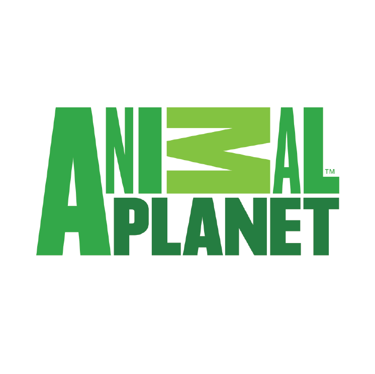 Download Hd Animal Planet Animal Planet Logo Png Transparent Png Image Nicepng Com