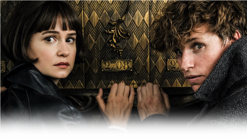 Claudia Kim Ezra Miller (817x477), Png Download