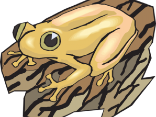 Frog (640x480), Png Download