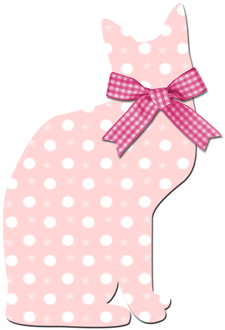 Cat (720x720), Png Download
