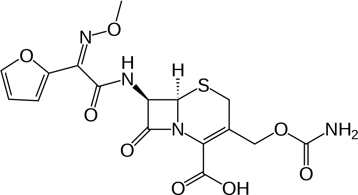 Cefalexin (1200x683), Png Download