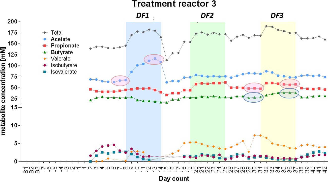 Short Chain Fatty Acid Profiles Induced In Polyferms - Graphic Design (1369x778), Png Download