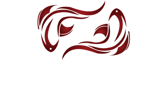 Koi Fish (554x366), Png Download