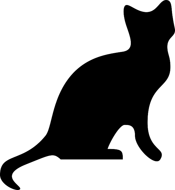Animals, Cat, Head, People, Profile, Silhouette - Cat Silhouette Png (590x640), Png Download