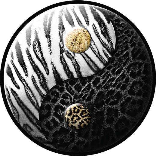 This Is The Logo For The Black Jaguar-white Tiger Foundation - Black Jaguar White Tiger Foundation Logo (519x519), Png Download
