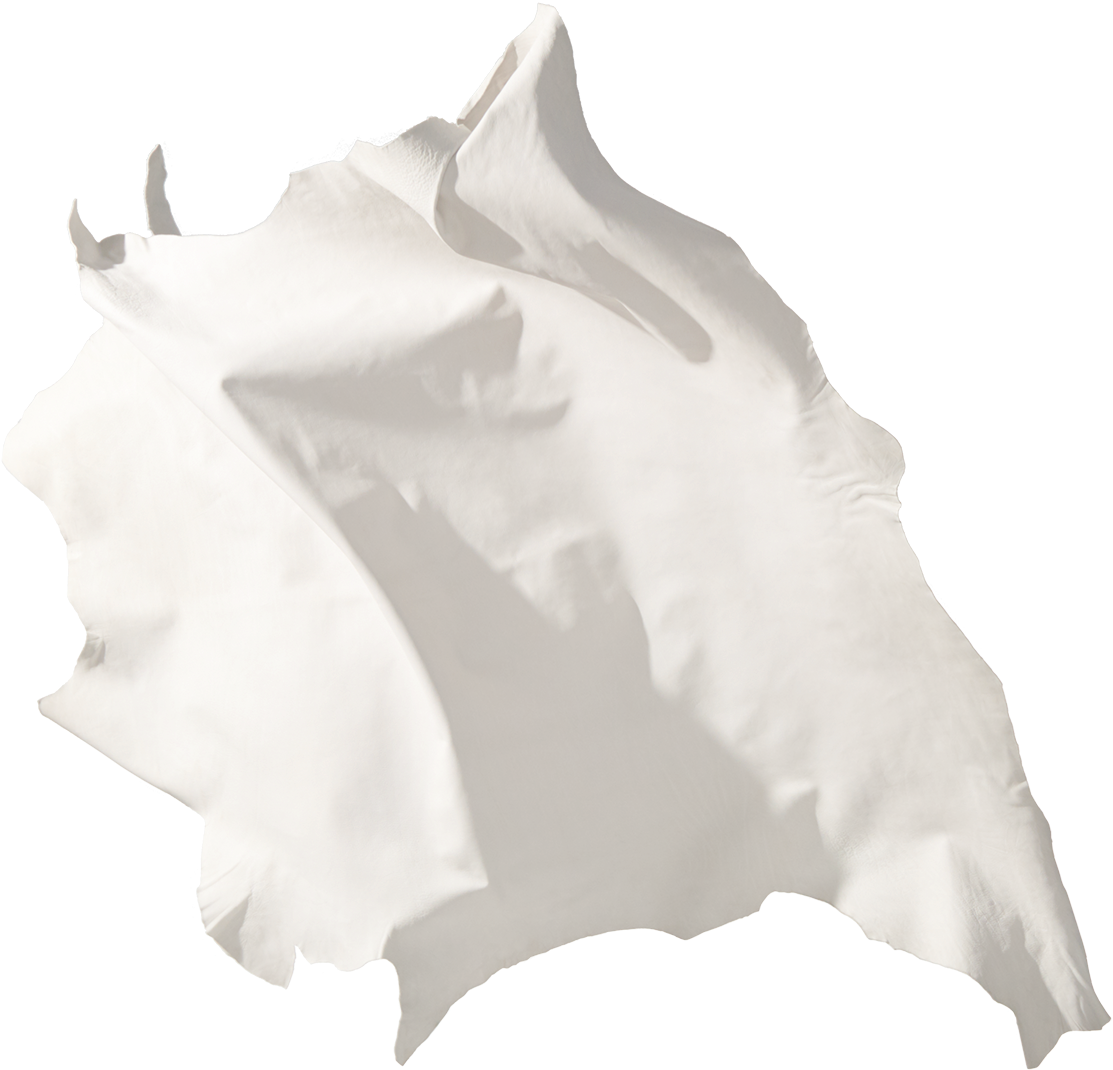 Leather Leather Sanyo - Flag (1158x1253), Png Download