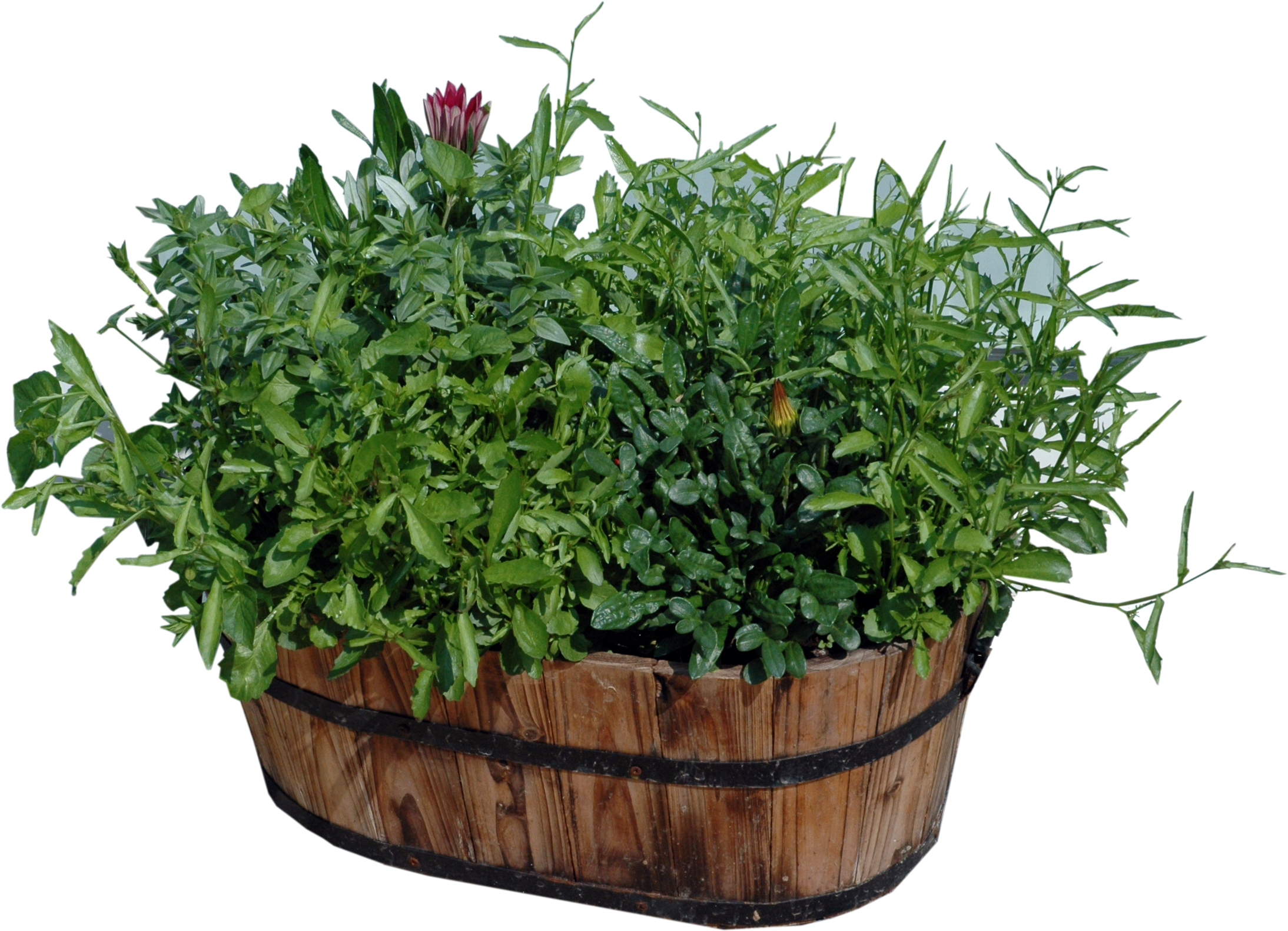 Potted Plants Png Download - Wood Flower Pots Png (2188x1582), Png Download