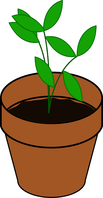 Sapling, Pot, Potted Plant, Brown, Dirt, Green, Grow - Free Plant Clipart (334x640), Png Download