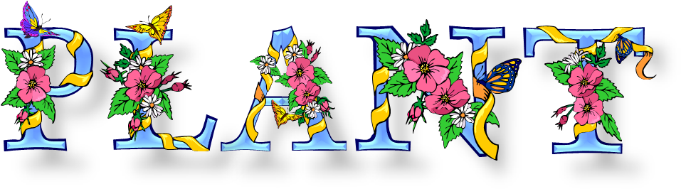 Potted, Plant, Society - Plants (969x275), Png Download