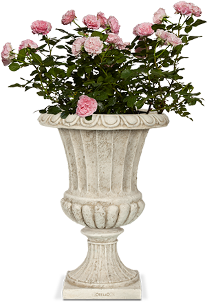 Capi Classic - Afbeeldingen Voor Moederdag 2018 (310x470), Png Download