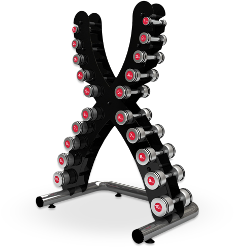Dumbbells - Life Fitness X Rack (500x500), Png Download