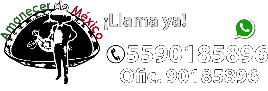 Menu - History (1000x355), Png Download