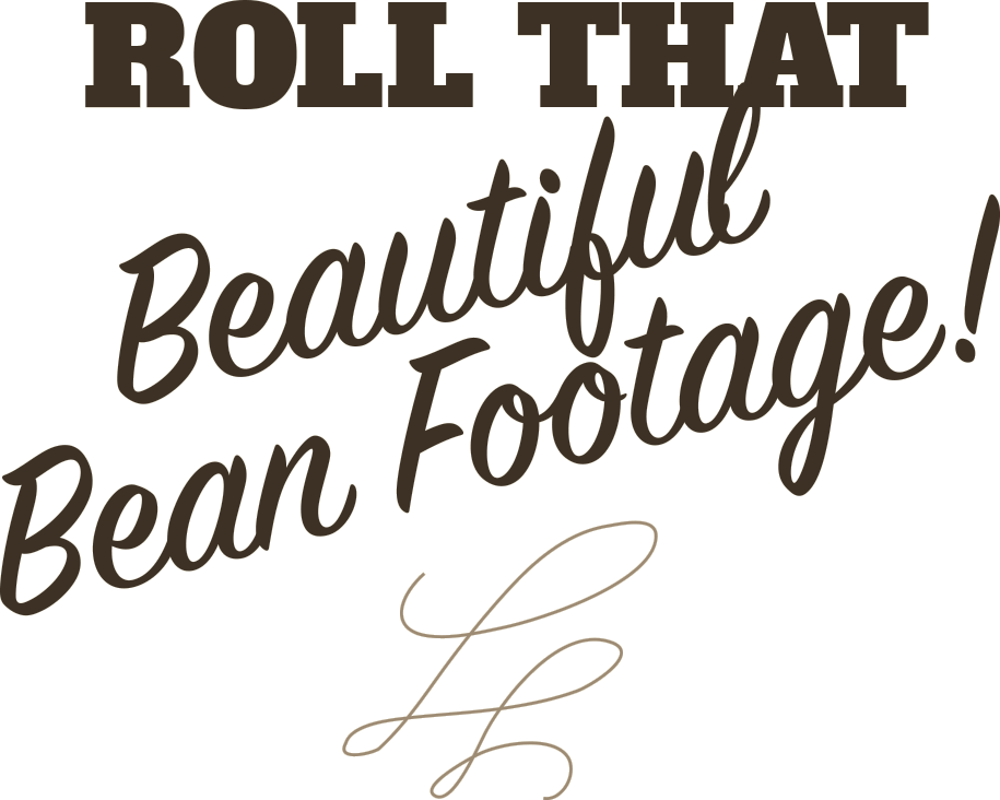 Roll That Beautiful Bean Footage - Bush's Beans Dog Meme (915x732), Png Download