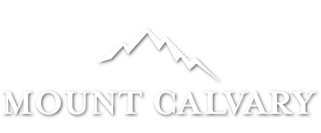 Microbiology Of Dental Caries (1043x449), Png Download