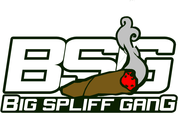 Bsg Lifesyle (800x600), Png Download