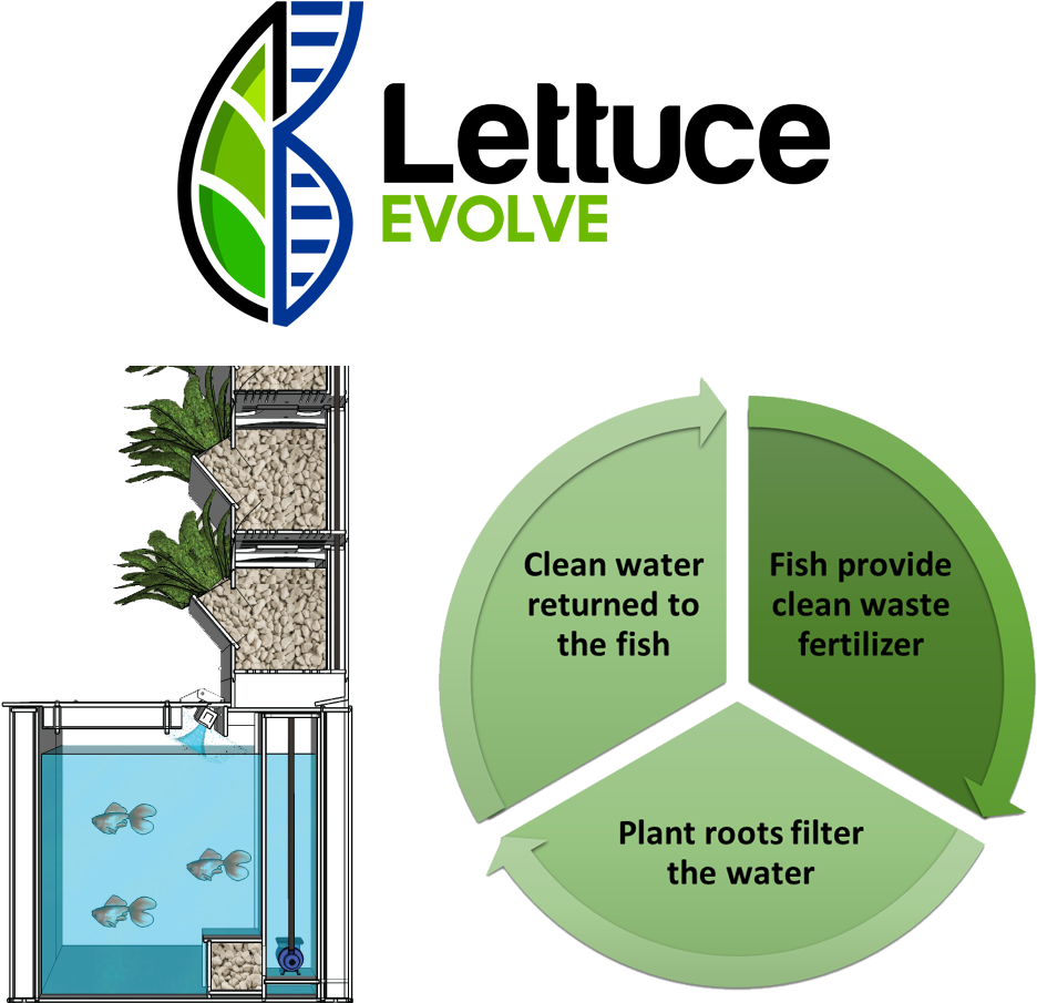 Aquarium Powered Vertical Garden - Different Types Of Sports Tourism (1000x1000), Png Download