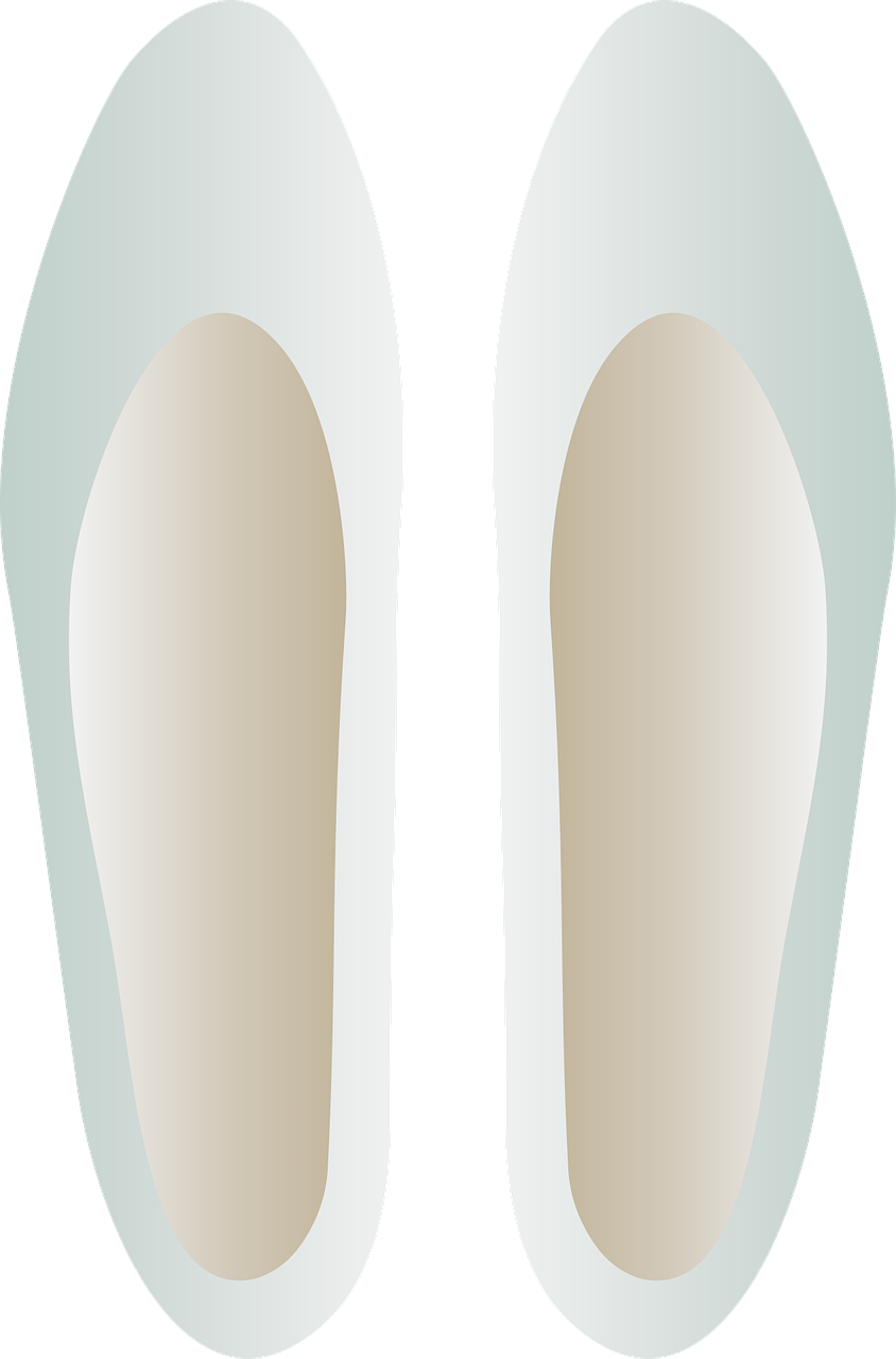 Travel, Ballerina, Shoes, Travel, Footwear - Illustration (844x1280), Png Download