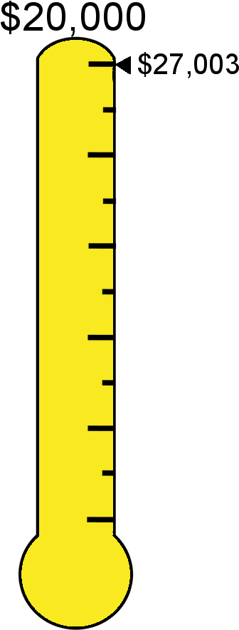 #f8e921 Raised $27,003 Towards The $20,000 Target - Colorfulness (383x889), Png Download