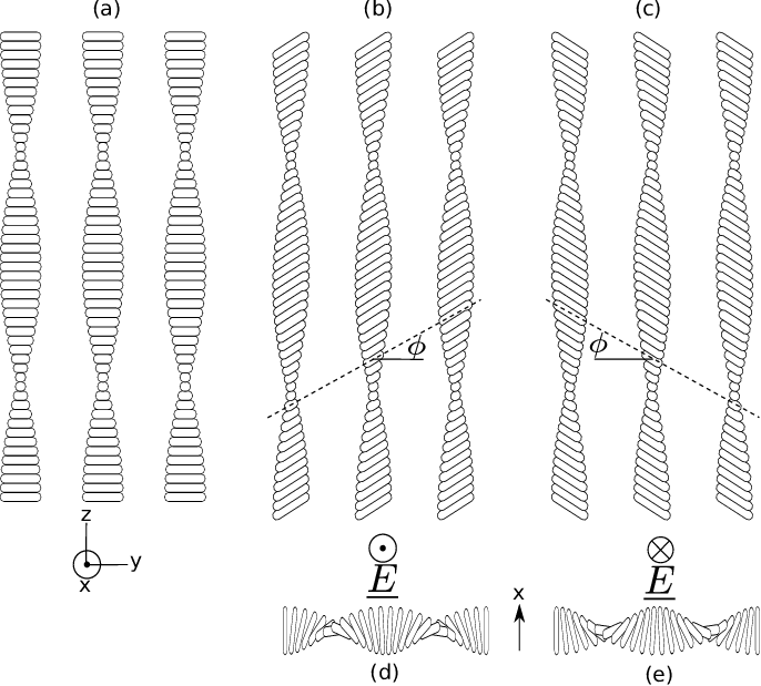 The Helical Flexo Electro Optic Effect - Line Art (686x619), Png Download