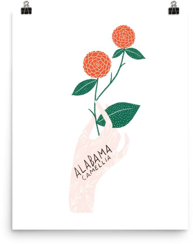Alabama State Flower Print - Alaska (1000x1000), Png Download