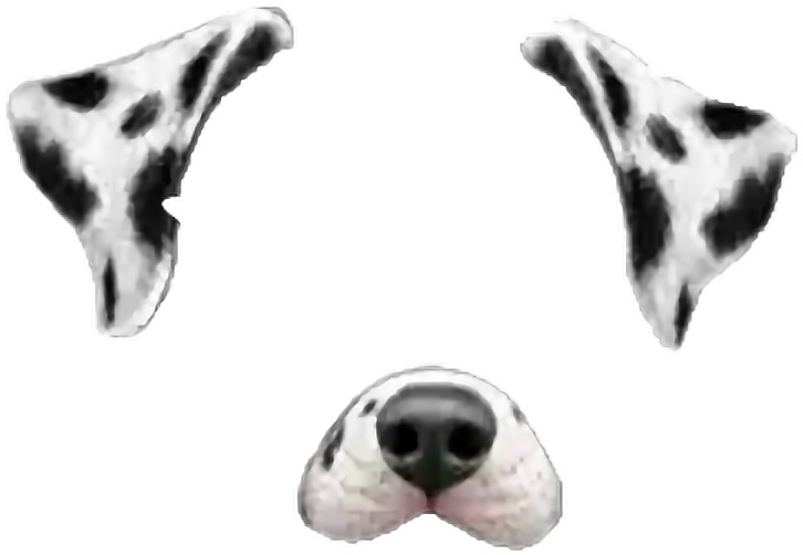 Report Abuse - Transparent Snapchat Dog Filter (726x502), Png Download