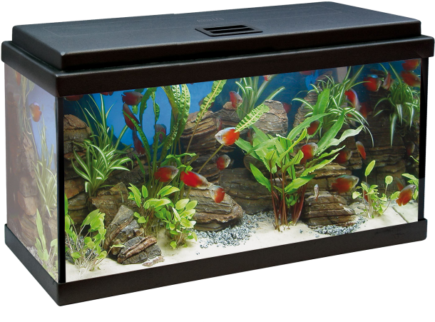 Acuario Aqualed 64l - Acuario 100 Litros Medidas (650x650), Png Download