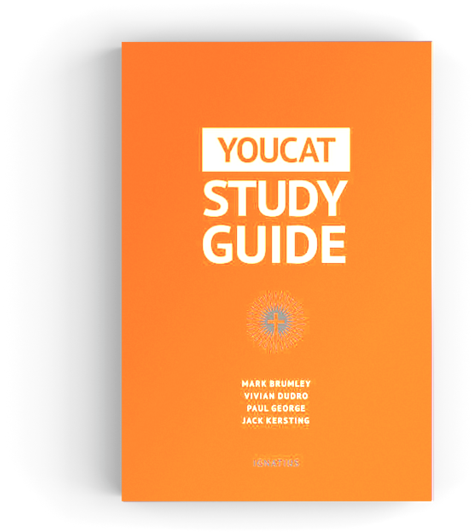 Youcat Study Guide U2013 Youcataustralia Rh Youcat - Youcat Study Guide (1024x683), Png Download