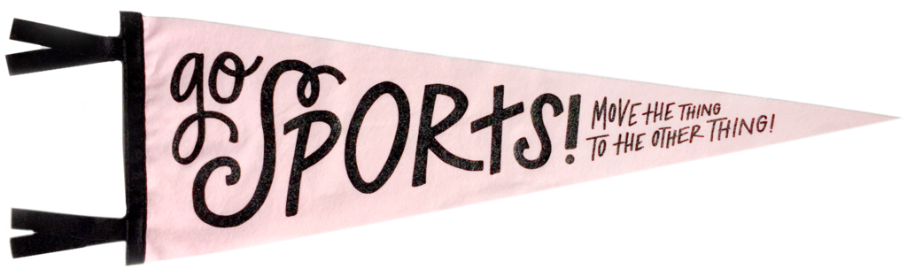 Sports Pennant Png - Go Sports Pennant (1024x304), Png Download