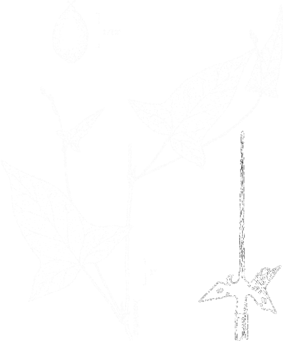 Sketch (583x703), Png Download