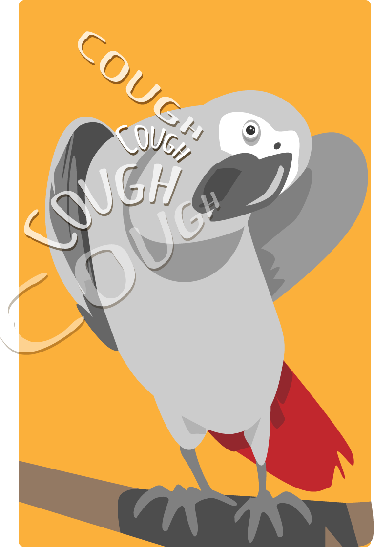 African Grey (800x1200), Png Download