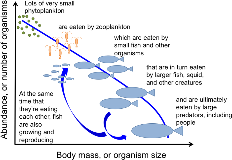 Mathinoceanograph Figure - Portable Network Graphics (1000x658), Png Download