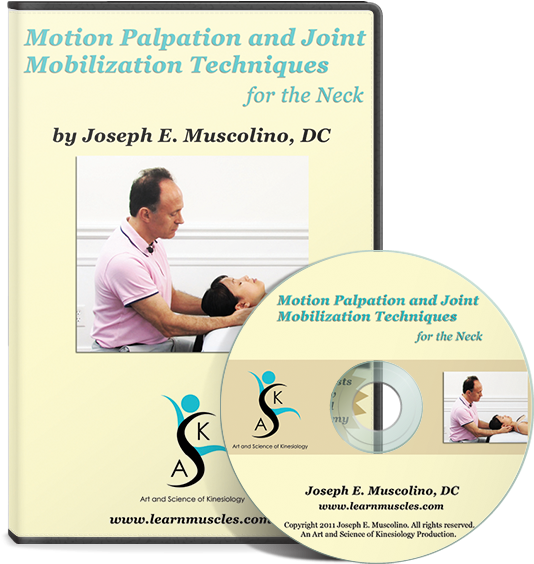 Dvd Case Neck - Motion Palpation Assessment And Joint Mobilization (540x576), Png Download