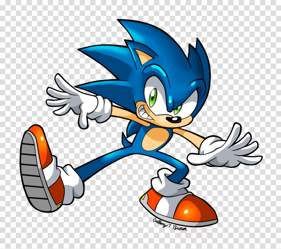 Archie Sonic The Hedgehog Clipart Sonic The Hedgehog - Sonic The Hedgehog (900x800), Png Download