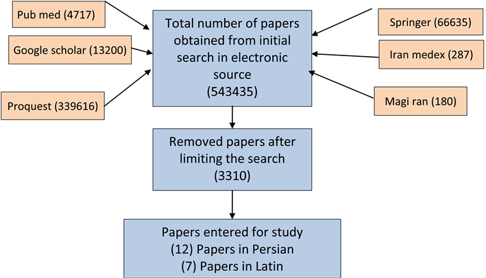 Organizational Sections - Diagram (902x405), Png Download