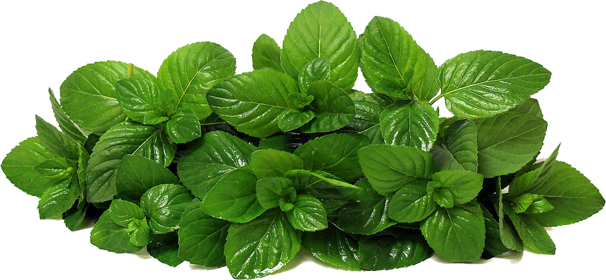 Mint Png Photos - Mint Png (872x403), Png Download