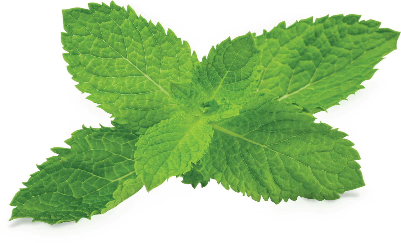 Mint Png Clipart - Fumari Mint (1500x1500), Png Download