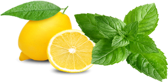 Download Hd Banner Black And White Dnr Turkish Restaurant Lemon Roblox Transparent Png Image Nicepng Com - lemon roblox