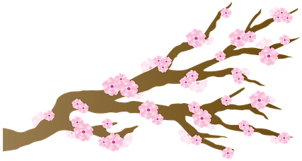 Cherry Blossom Blossoms Japanese Branch Ch - Cherry Blossom (440x340), Png Download