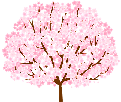 Tree, Cherry Blossom, Spring, Nature - Ichinoehidamari Orthopedic Clinic (403x340), Png Download